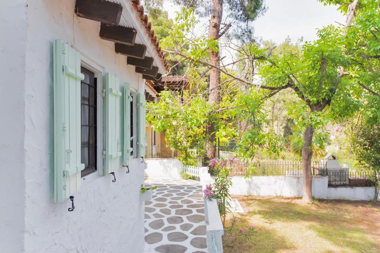 Villa Nefeli Sani  Exteriér fotografie