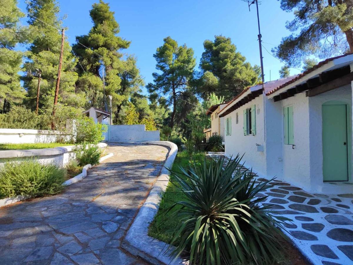 Villa Nefeli Sani  Exteriér fotografie