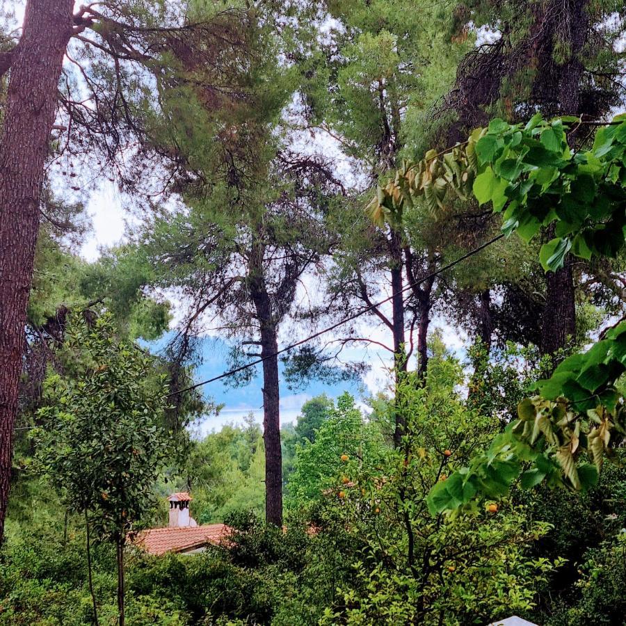 Villa Nefeli Sani  Exteriér fotografie